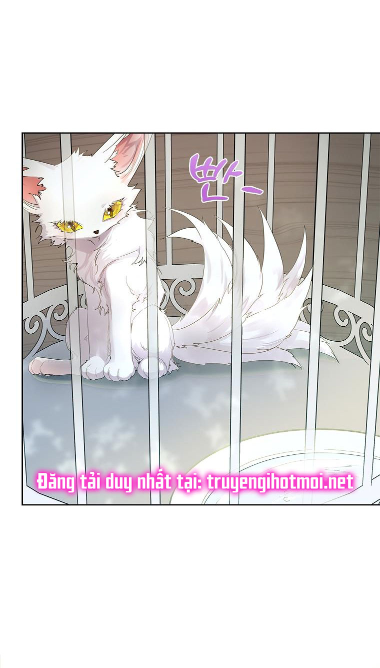 tôi đã nuôi hồ ly sai cách rồi Chap 6 - Next chapter 6.1