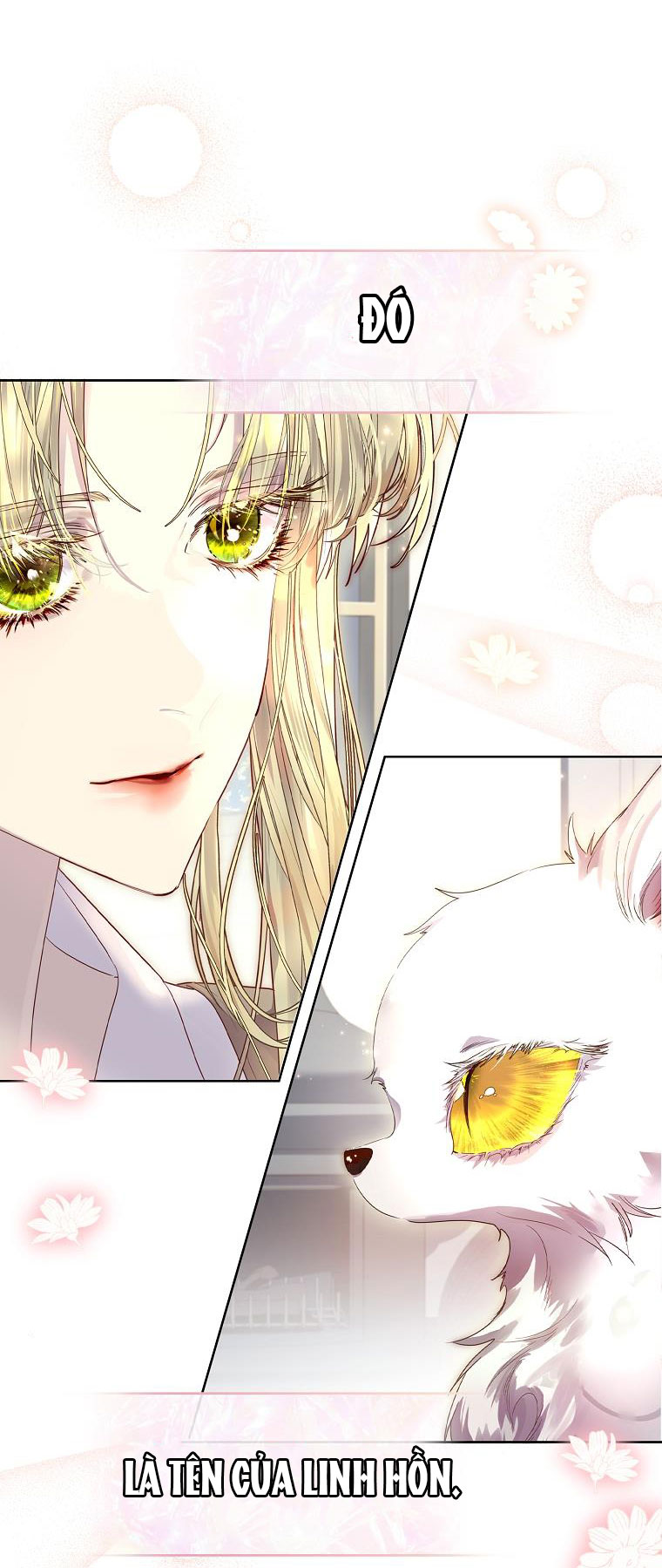 tôi đã nuôi hồ ly sai cách rồi Chap 6 - Next chapter 6.1