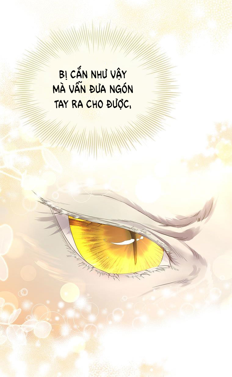 tôi đã nuôi hồ ly sai cách rồi Chap 8 - Next chapter 8.1