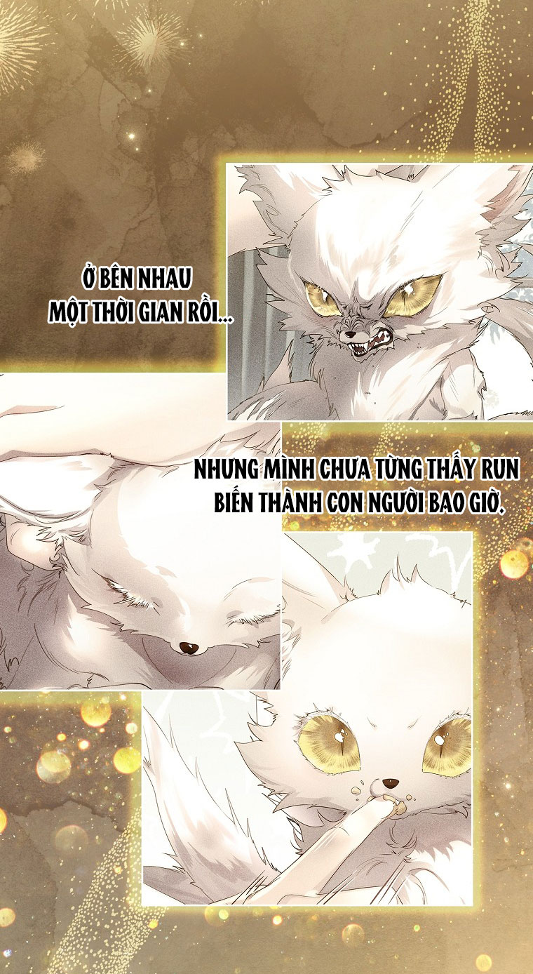 tôi đã nuôi hồ ly sai cách rồi Chap 10 - Next chapter 10.1