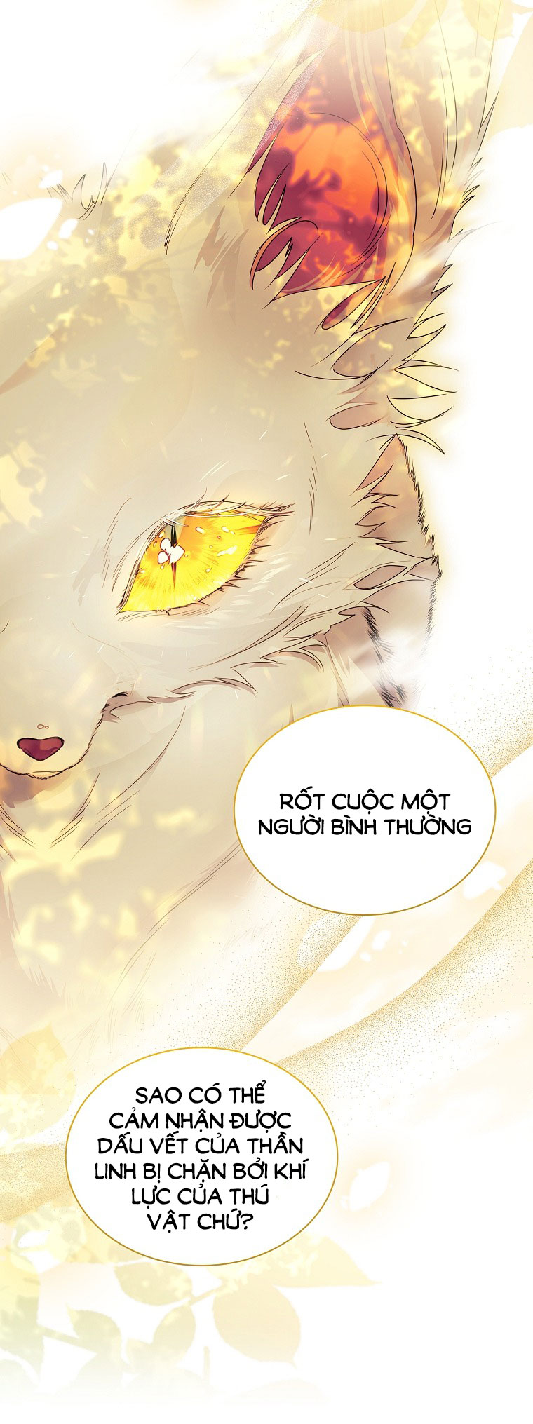 tôi đã nuôi hồ ly sai cách rồi Chap 20 - Next chapter 20.1