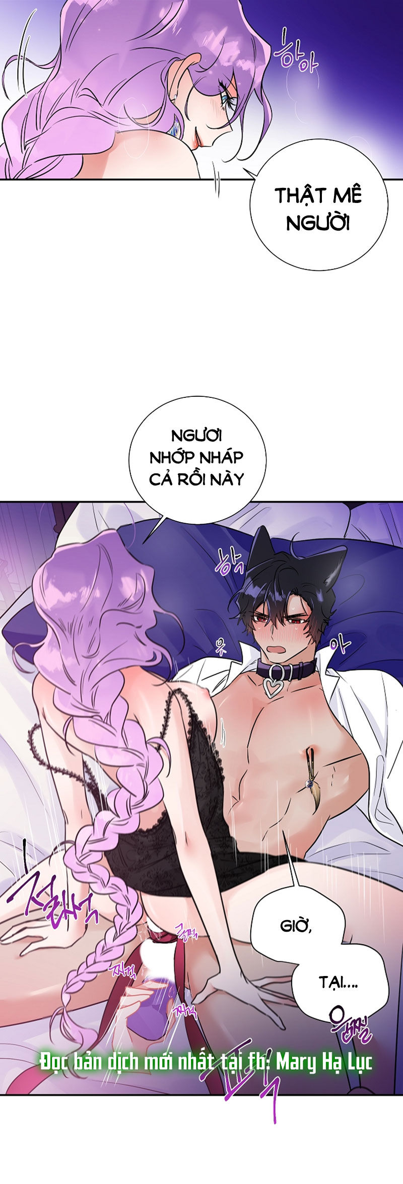 [18+] sói nhà Chapter 11 - Trang 2