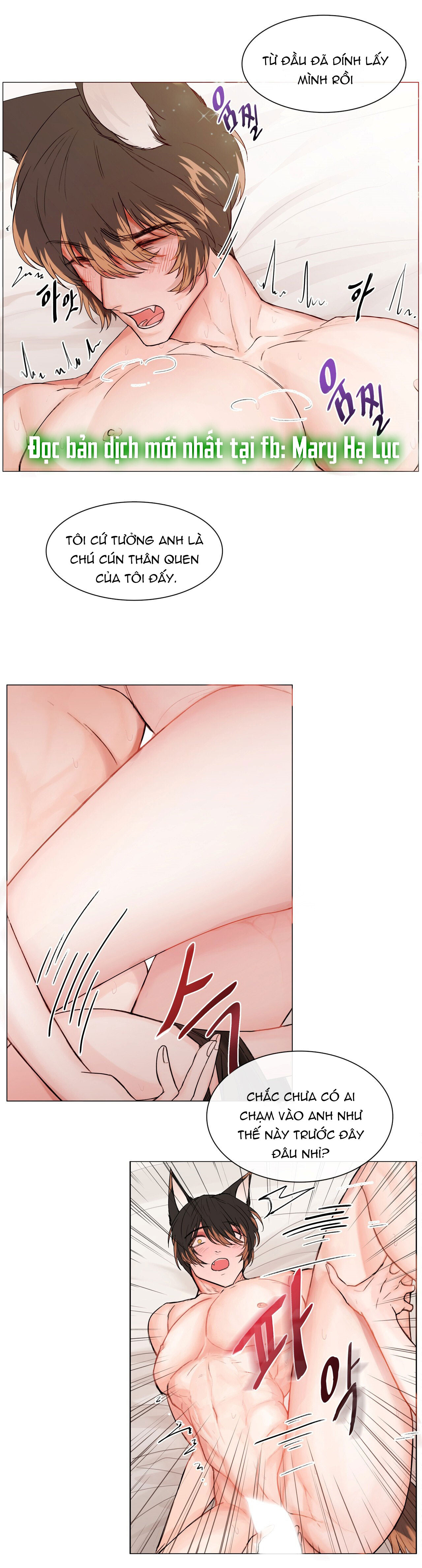 [18+] cún con của chủ nhân Chap 1 - Next 1.1