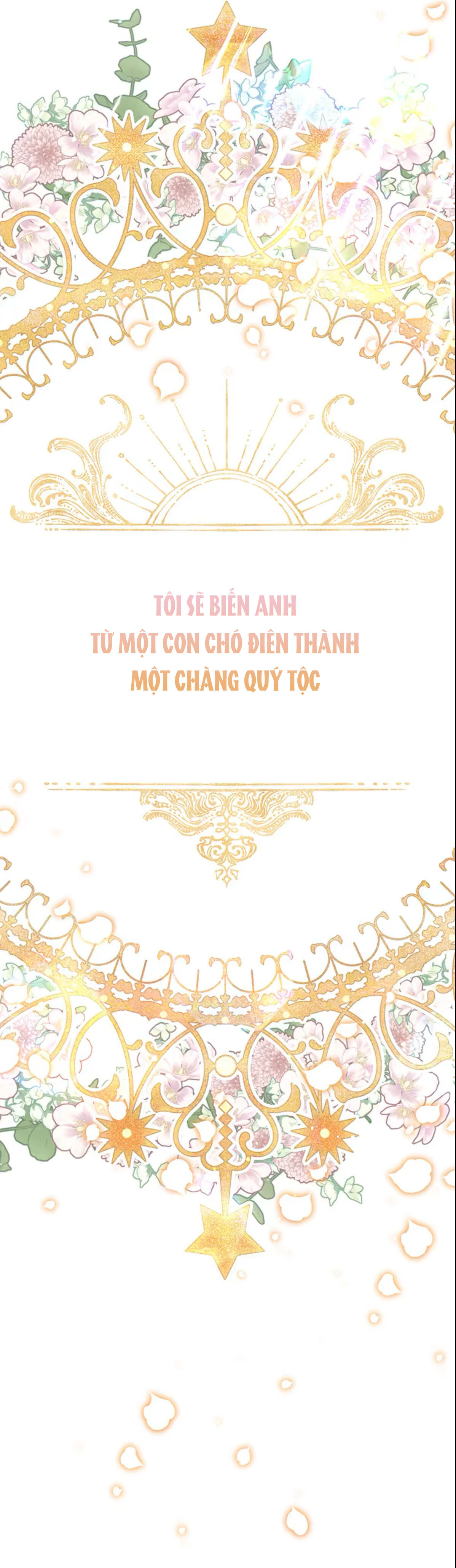 tôi sẽ biến anh ta từ một con chó điên thành một chàng quý tộc Chương 1 - Next Chương 2