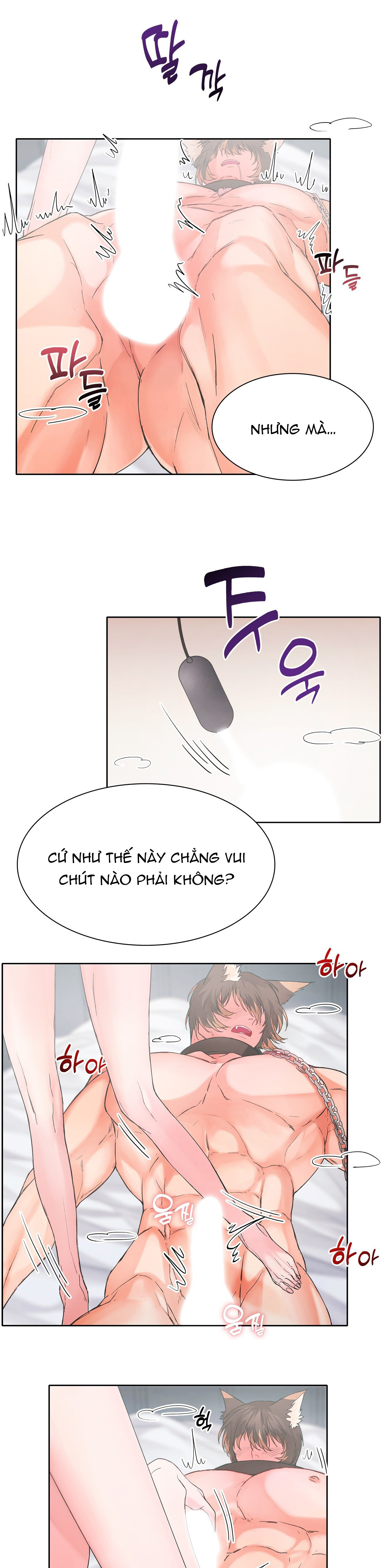 [18+] cún con của chủ nhân Chap 5 - Next 5.1