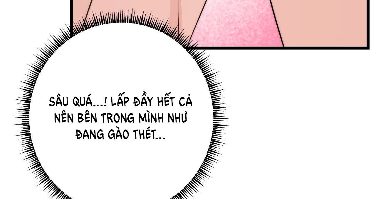 [18+] sự ngọt ngào đẫm máu Chap 7 - Trang 2