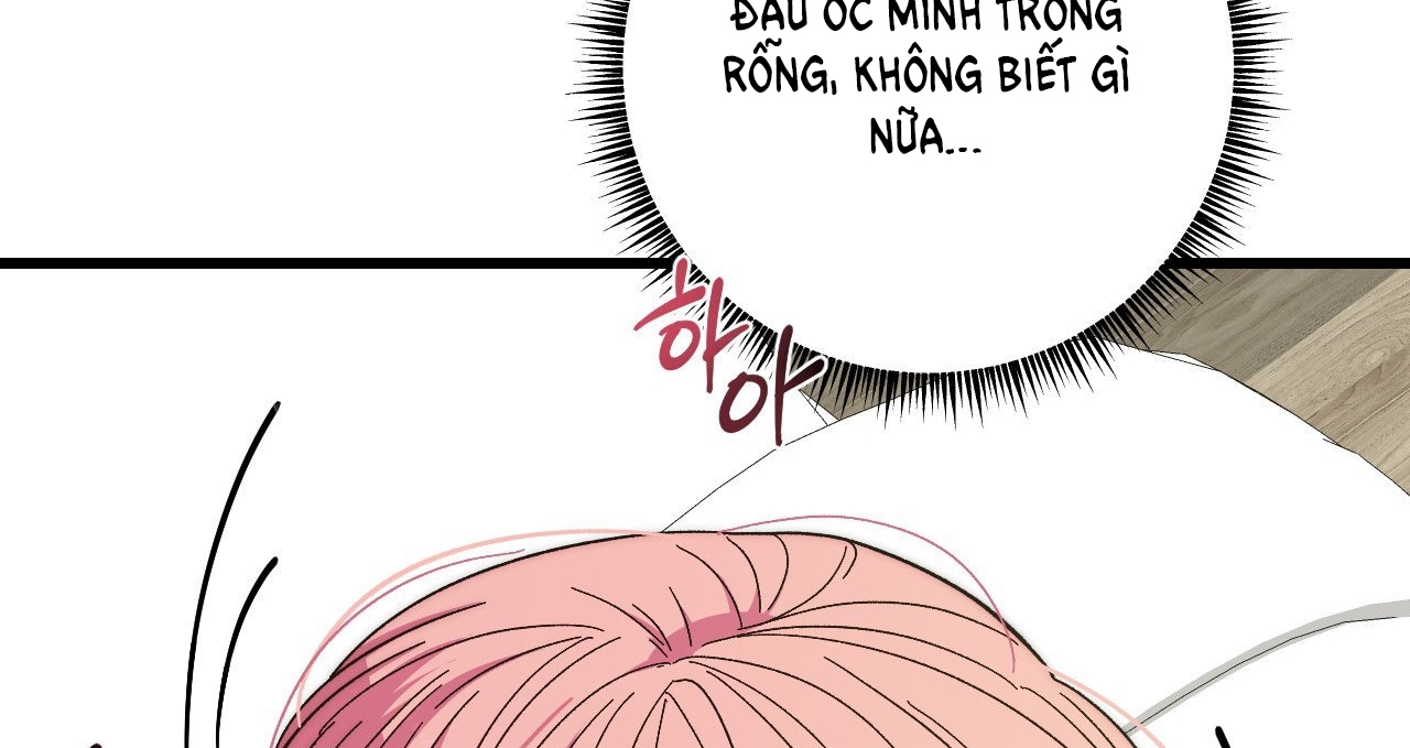 [18+] sự ngọt ngào đẫm máu Chap 7 - Trang 2