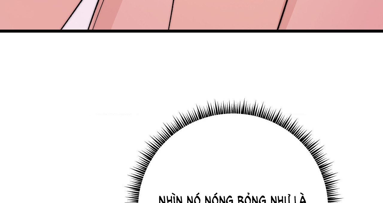 [18+] sự ngọt ngào đẫm máu Chap 7 - Trang 2