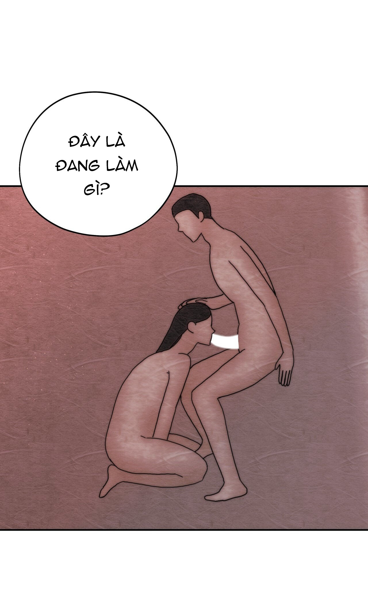 [18+] tôi đã kết hôn với em gái của vợ Chap 14 - Trang 2