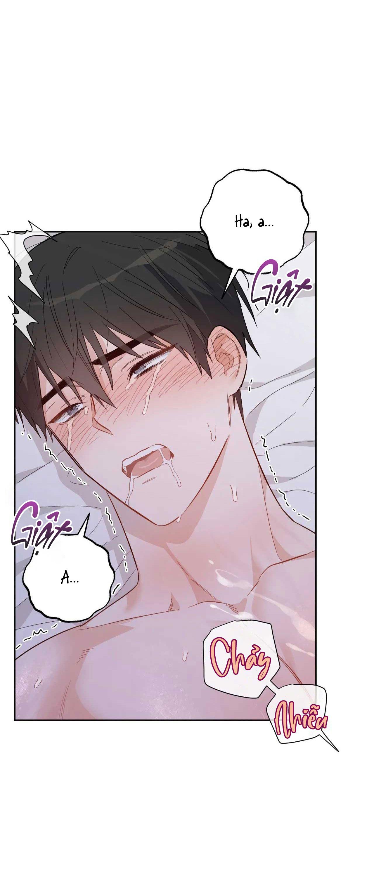 [18+ bl] vận mệnh của cậu là gì? Chương 4 - Next 