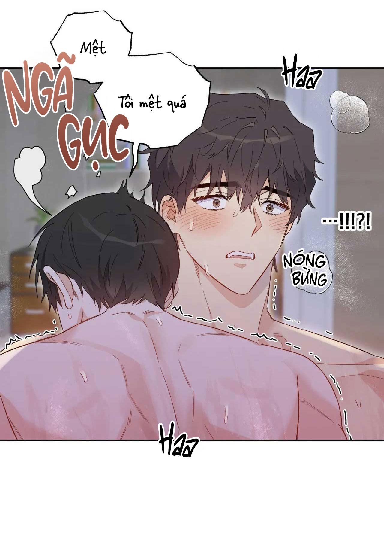 [18+ bl] vận mệnh của cậu là gì? Chương 4 - Next 