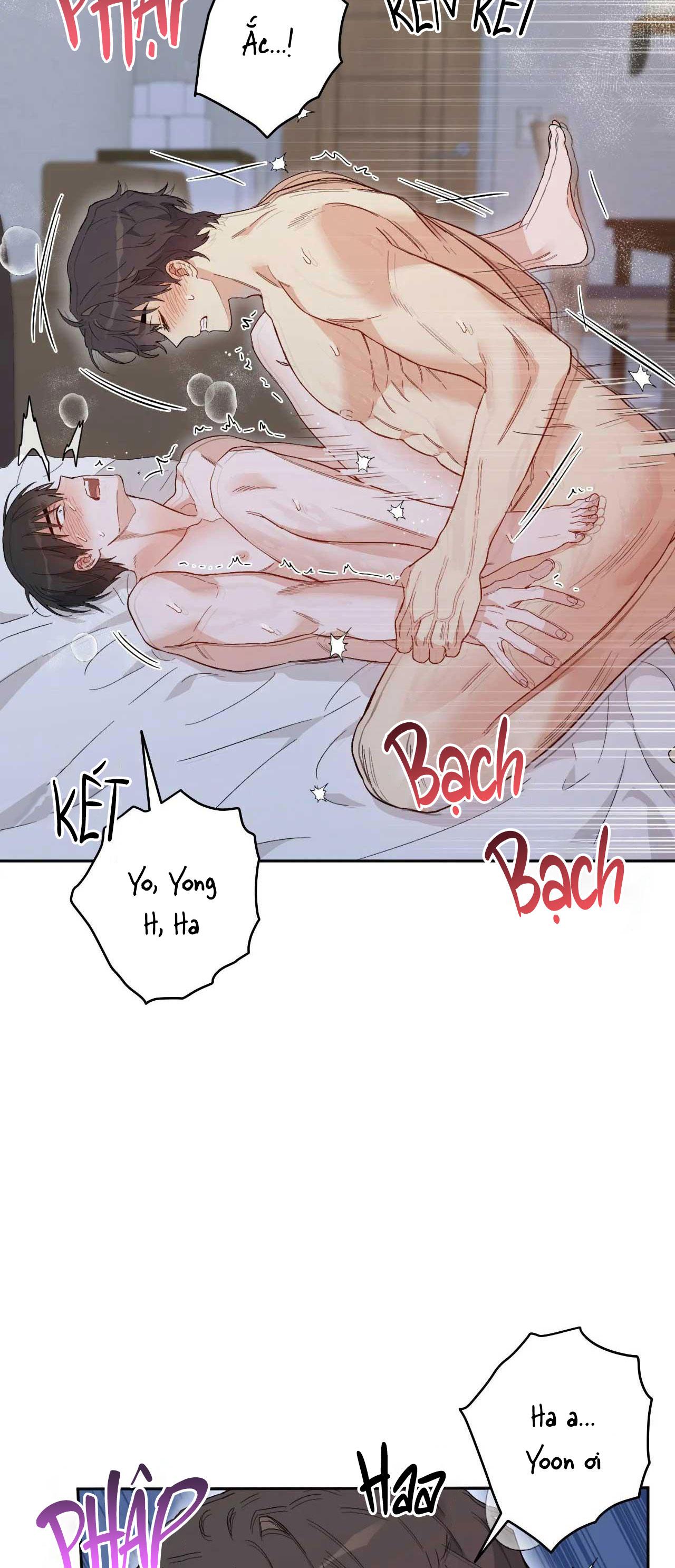 [18+ bl] vận mệnh của cậu là gì? Chương 4 - Next 