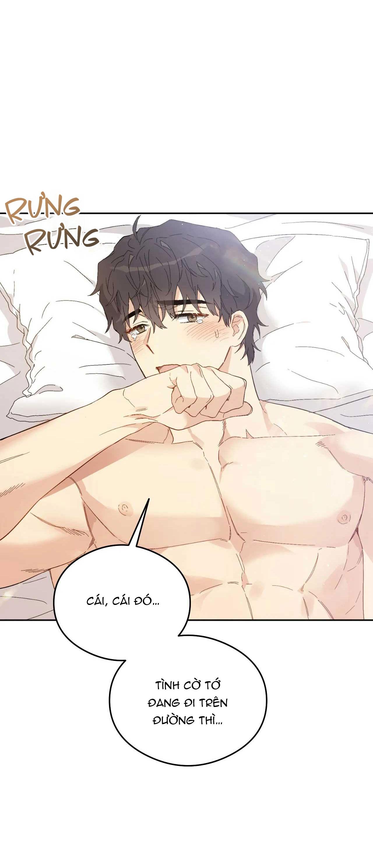 [18+ bl] vận mệnh của cậu là gì? Chương 4 - Next 