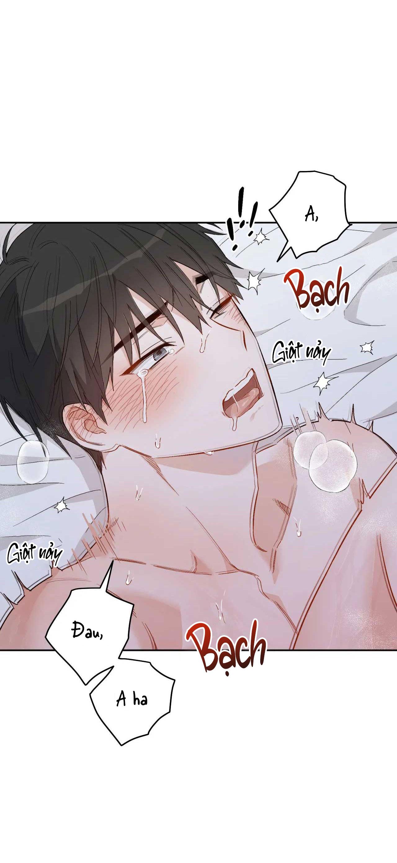 [18+ bl] vận mệnh của cậu là gì? Chương 4 - Next 