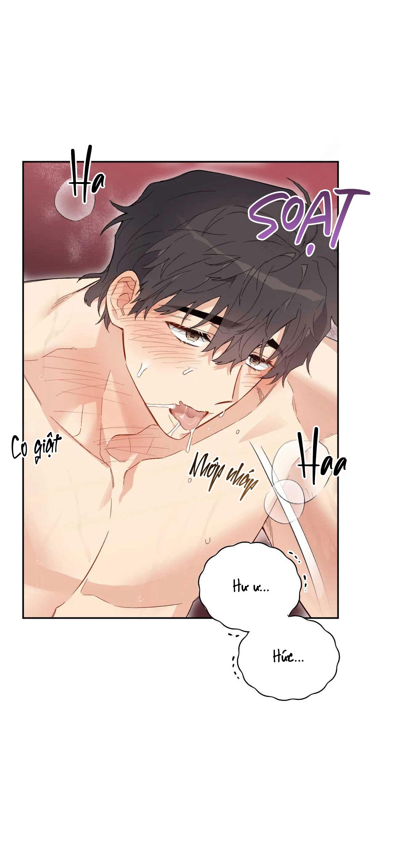 [18+ bl] vận mệnh của cậu là gì? Chap hết - Trang 2