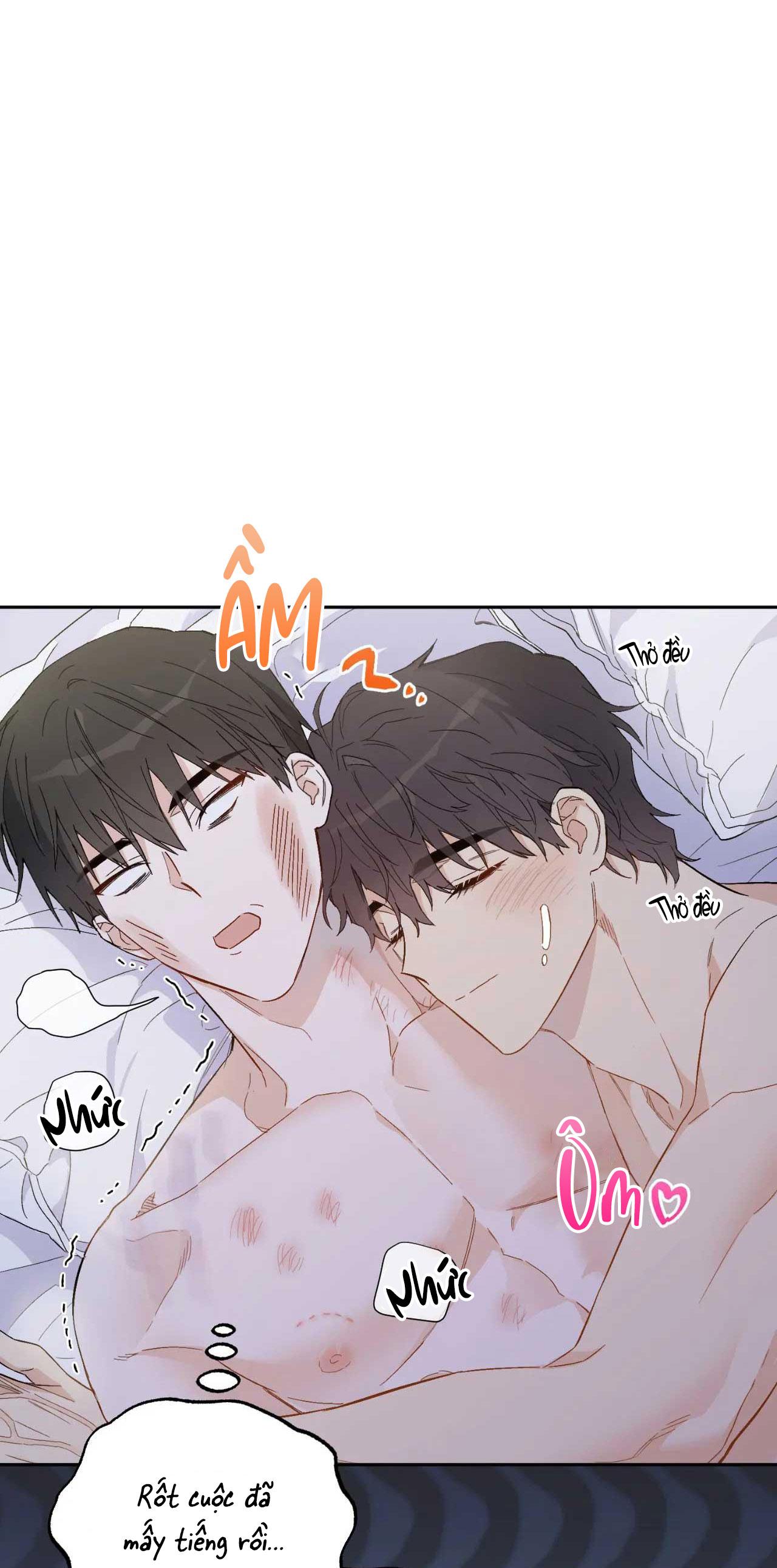 [18+ bl] vận mệnh của cậu là gì? Chap hết - Trang 2