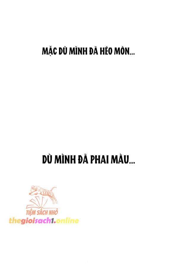 Nước Mắt Trên Đóa Hoa Tàn – Chương 36