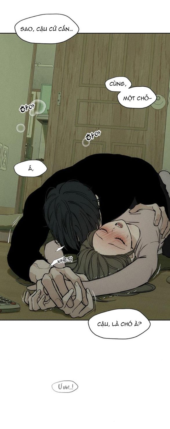 Nước Mắt Trên Đóa Hoa Tàn – Chương 48