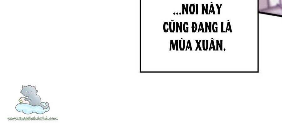 cô đi mà kết hôn với chồng tôi đi chapter 2 - Next chapter 3