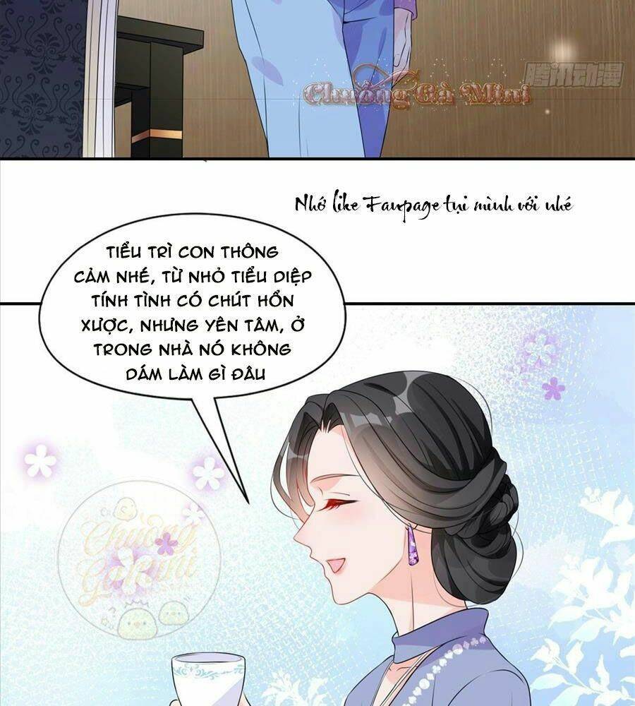 Cố Tổng Vợ Của Ngài Quá Mạnh Rồi! Chap 4 - Trang 2