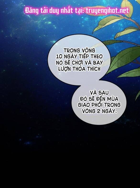 ai đã bắt cóc hoàng hậu? Chap 9.1 - Trang 2