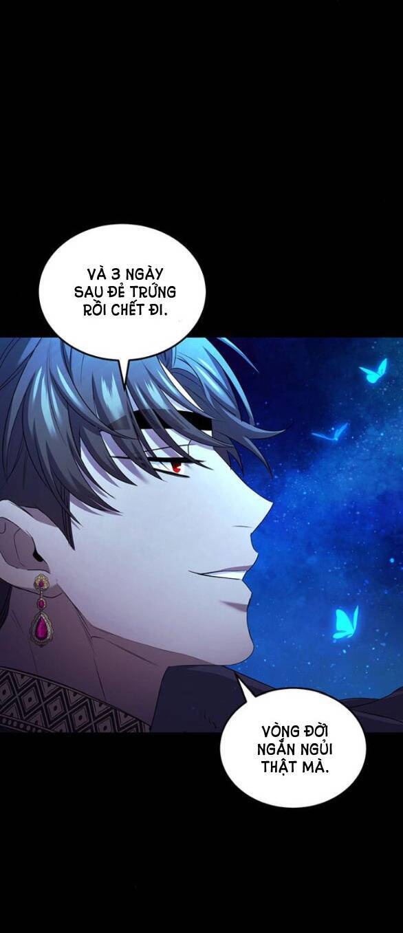 ai đã bắt cóc hoàng hậu? Chap 9.1 - Trang 2