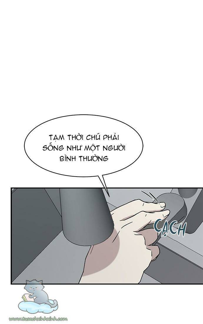 cạm bẫy Chương 26 - Next chapter 27