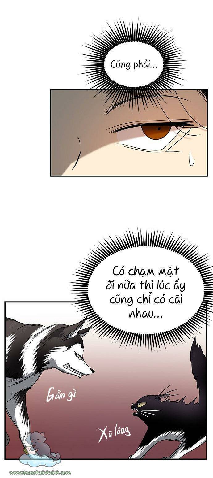 cạm bẫy Chương 74 - Next Chapter 74.1