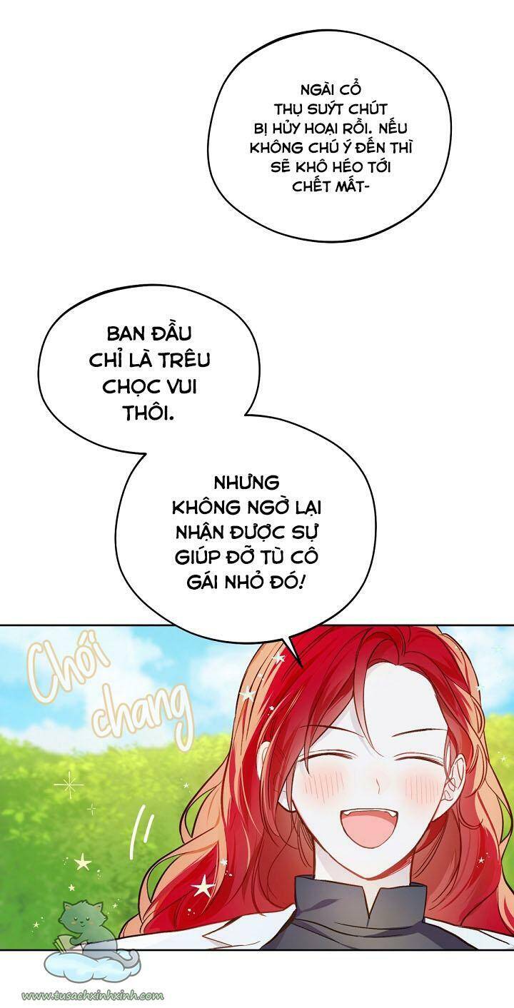 trang trại hạt dẻ gần cung điện hoàng gia chapter 17 - Next Chapter 17.5