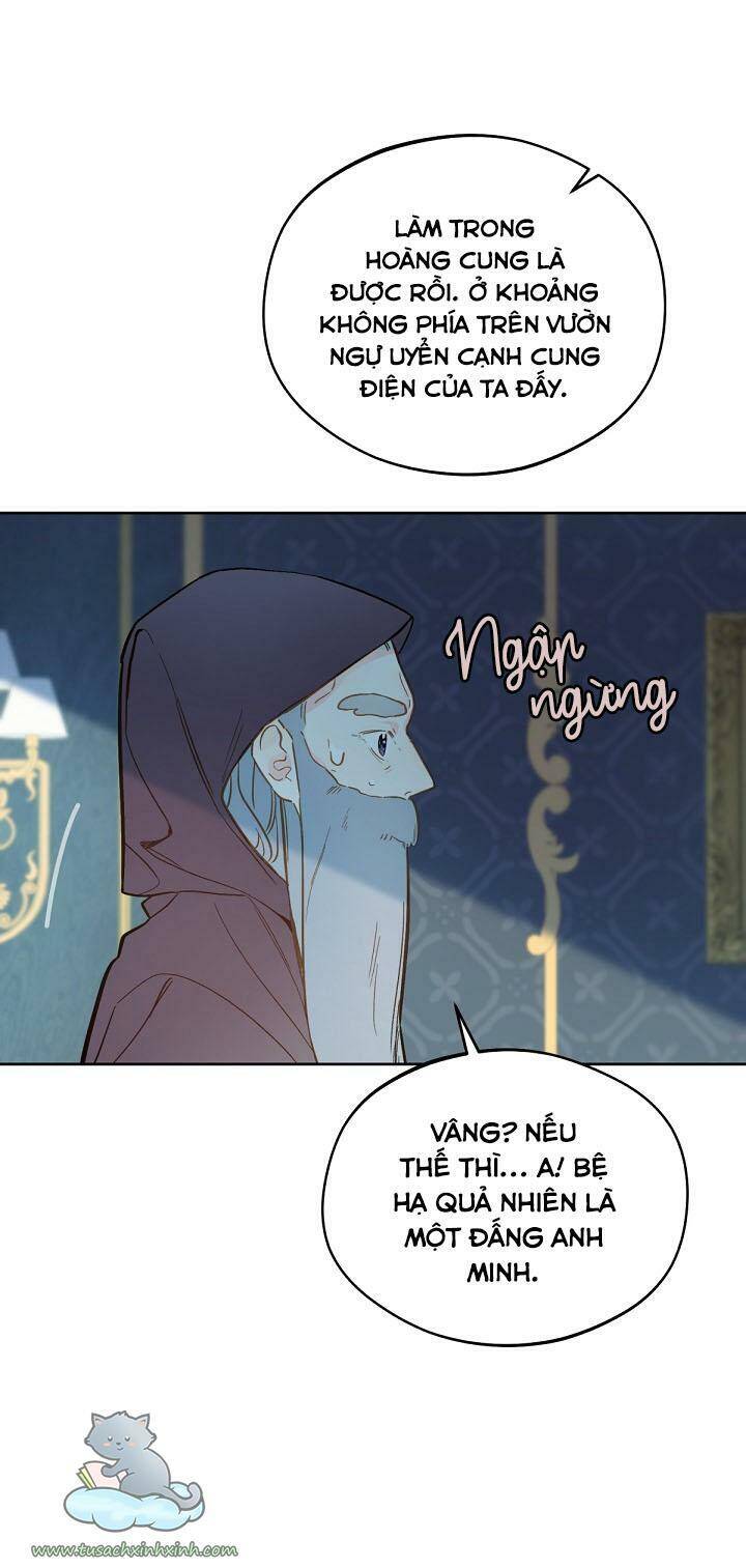 trang trại hạt dẻ gần cung điện hoàng gia chapter 17 - Next Chapter 17.5