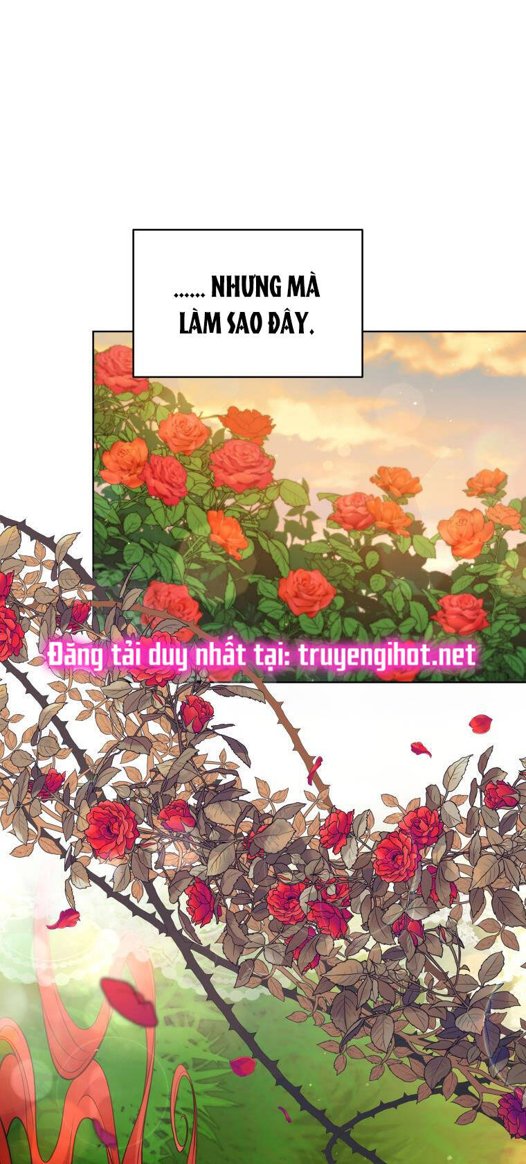 quý cô khó gần Chương 66 - Next chapter 67