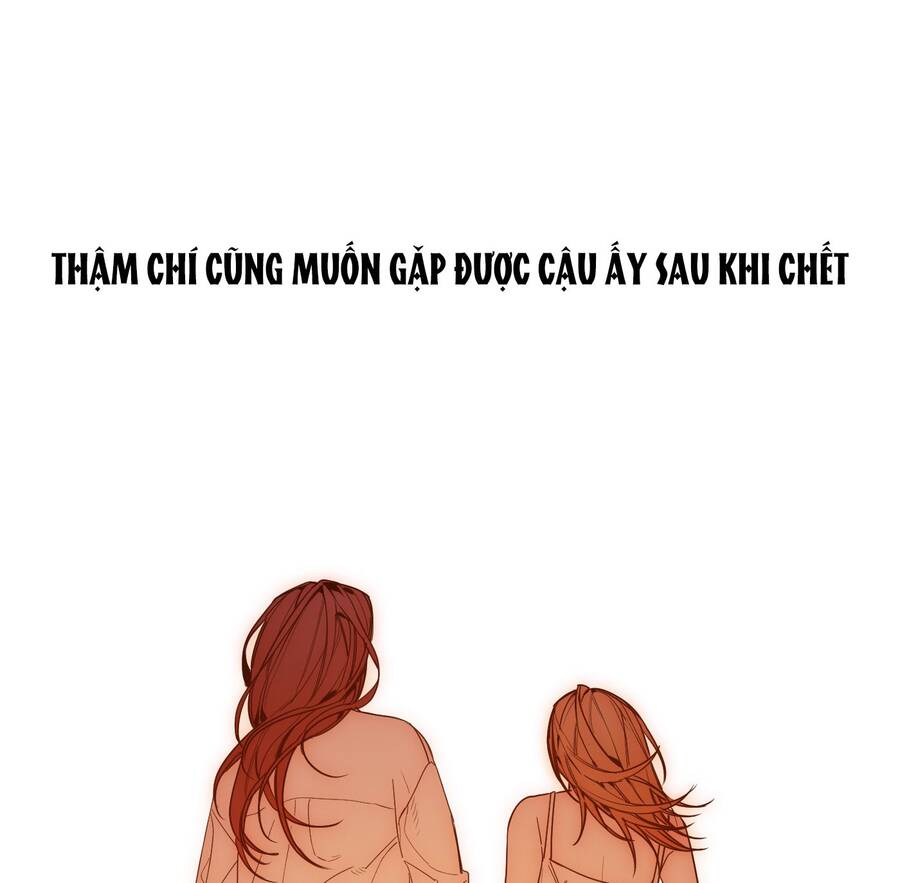 ác ma may mắn Chương 24 - Trang 2