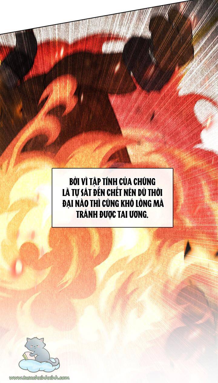 thành viên trong gia đình phát cuồng vì tôi chapter 34 - Next chapter 35