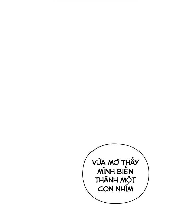 Ta Sẽ Nuôi Dạy Con Của Ngài Thật Tốt Bệ Hạ! Chap 47 - Trang 2