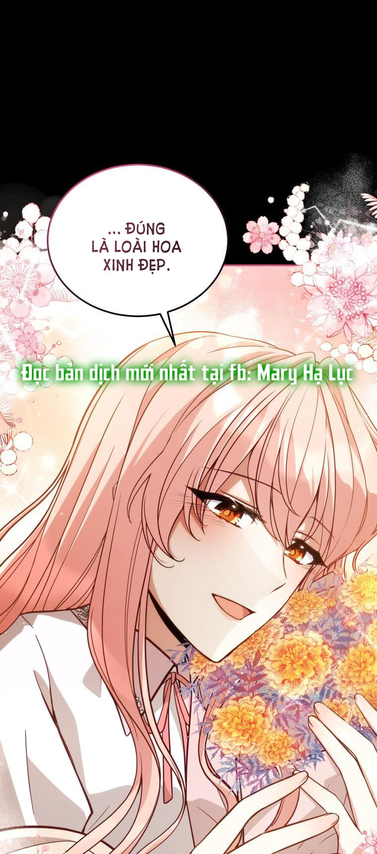 Quý Cô Khó Gần Không Thể Tiếp Cận Chap 66 - Trang 2