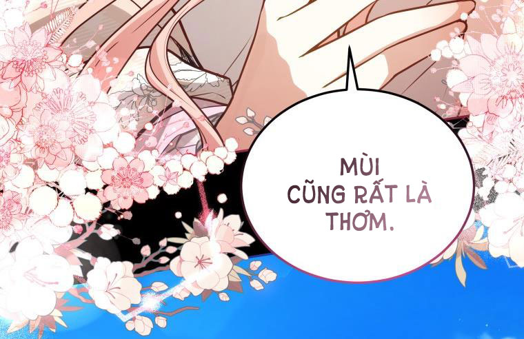 Quý Cô Khó Gần Không Thể Tiếp Cận Chap 66 - Trang 2