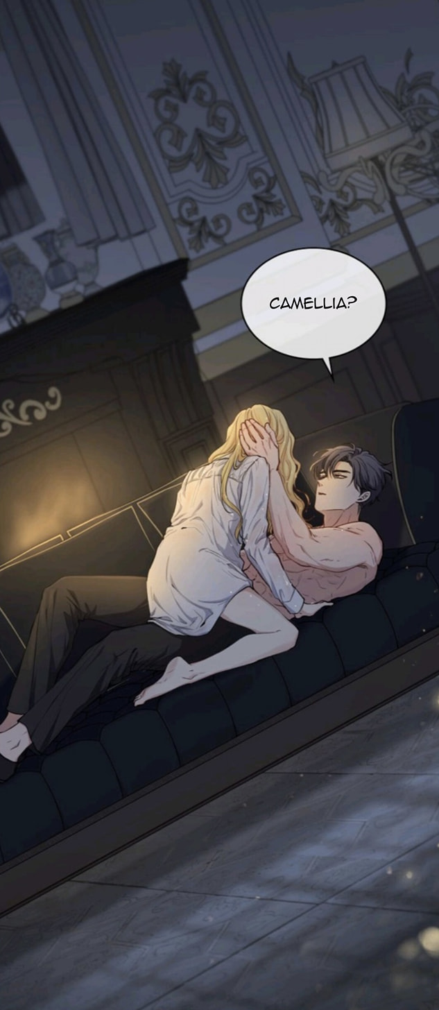 Đi Tìm Nàng Camellia Chap đọc… - Next Chap 1