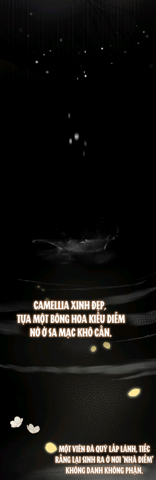 Đi Tìm Nàng Camellia Chap đọc… - Next Chap 1