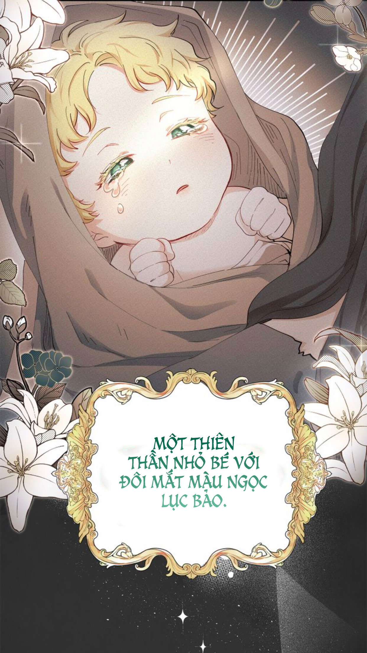 Đi Tìm Nàng Camellia Chap 1 - Next Chap 2