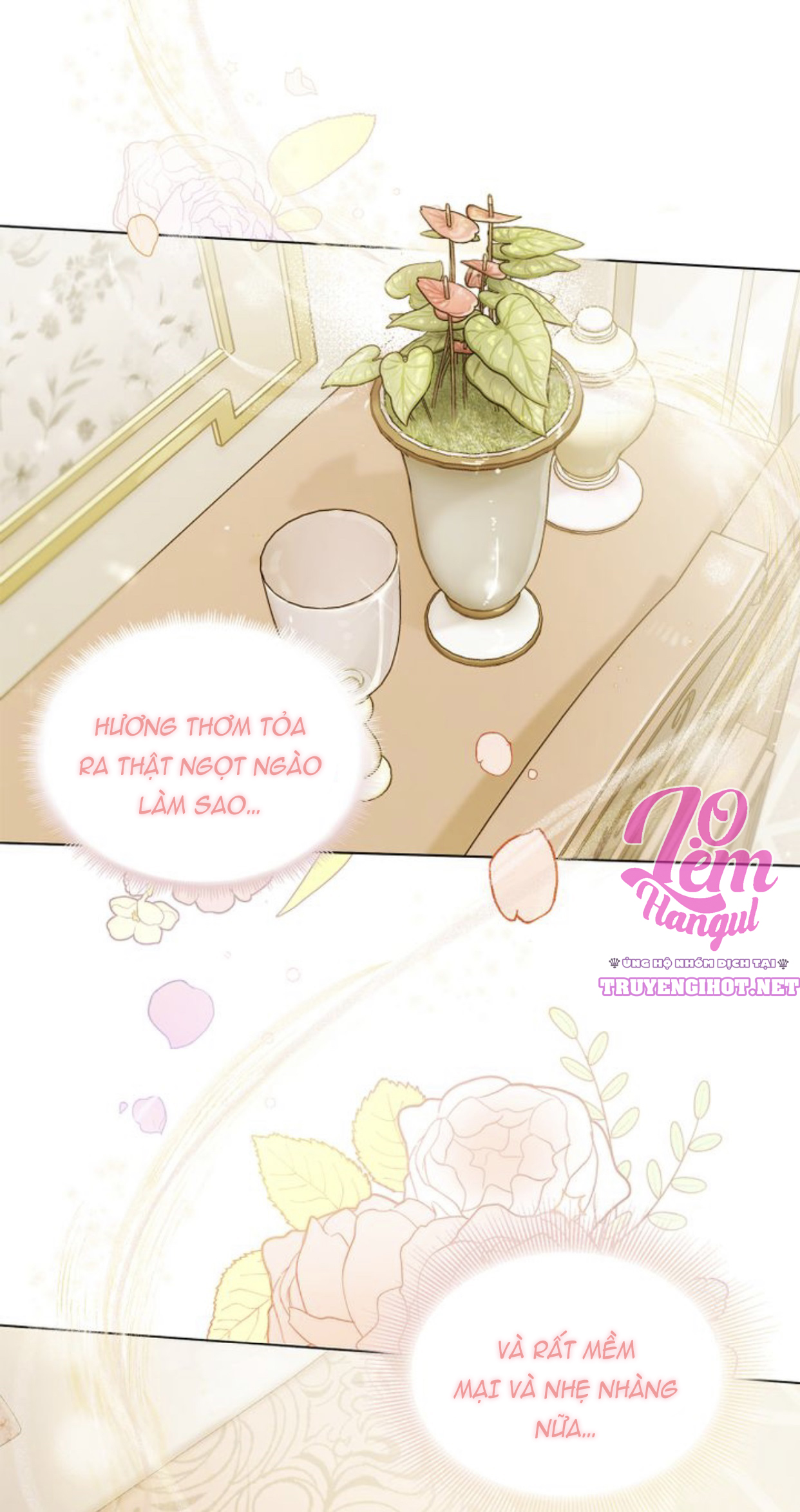 Đi Tìm Nàng Camellia Chap 2 - Trang 2