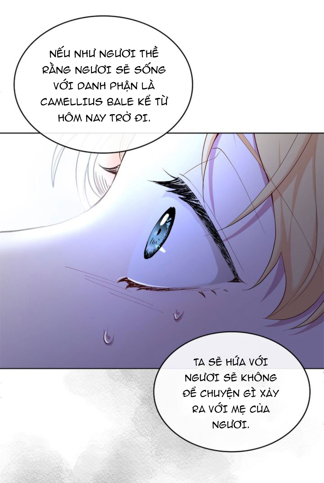 Đi Tìm Nàng Camellia Chap 3 - Trang 2