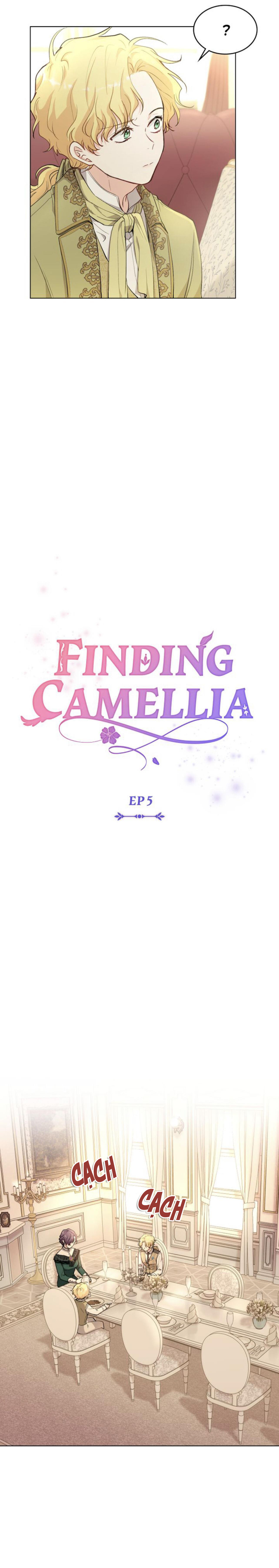 Đi Tìm Nàng Camellia Chap 5 - Trang 2