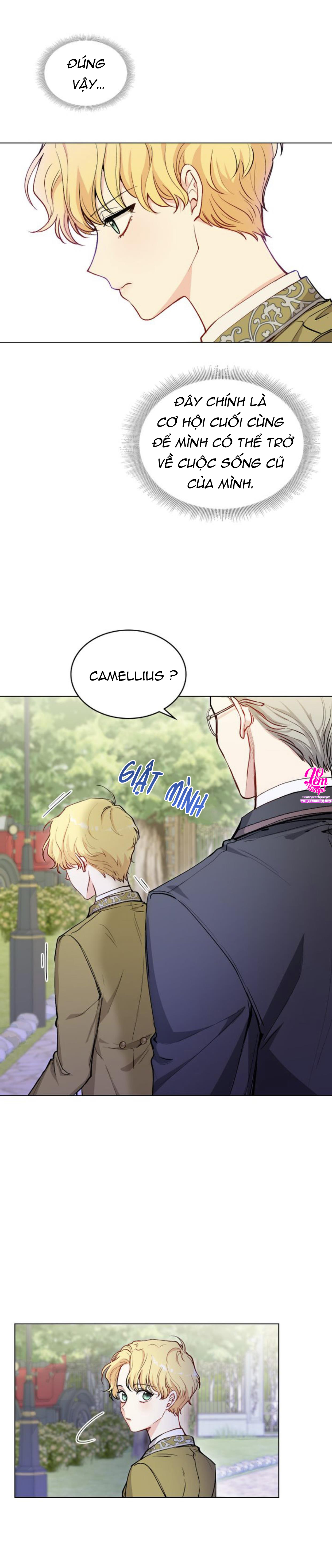 Đi Tìm Nàng Camellia Chap 11 - Trang 2