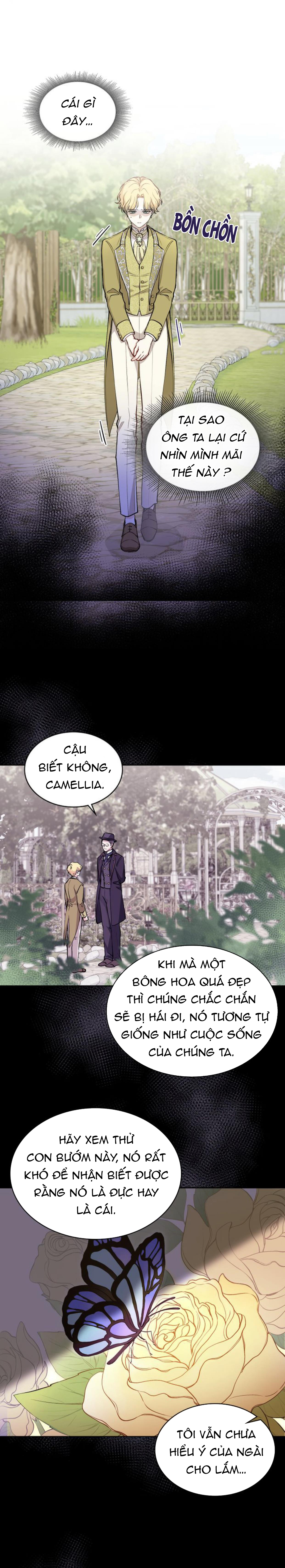 Đi Tìm Nàng Camellia Chap 11 - Trang 2