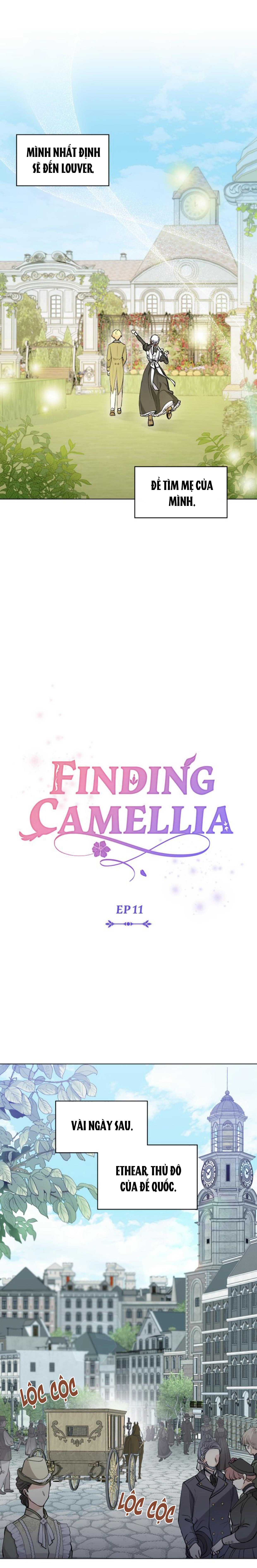 Đi Tìm Nàng Camellia Chap 11 - Trang 2