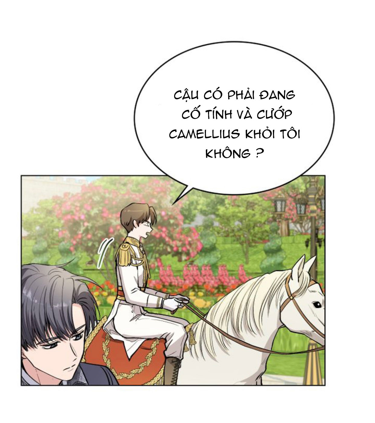 Đi Tìm Nàng Camellia Chap 12 - Trang 2