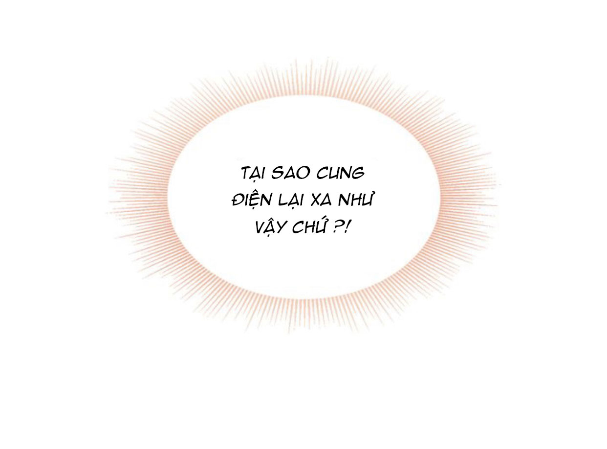 Đi Tìm Nàng Camellia Chap 12 - Trang 2