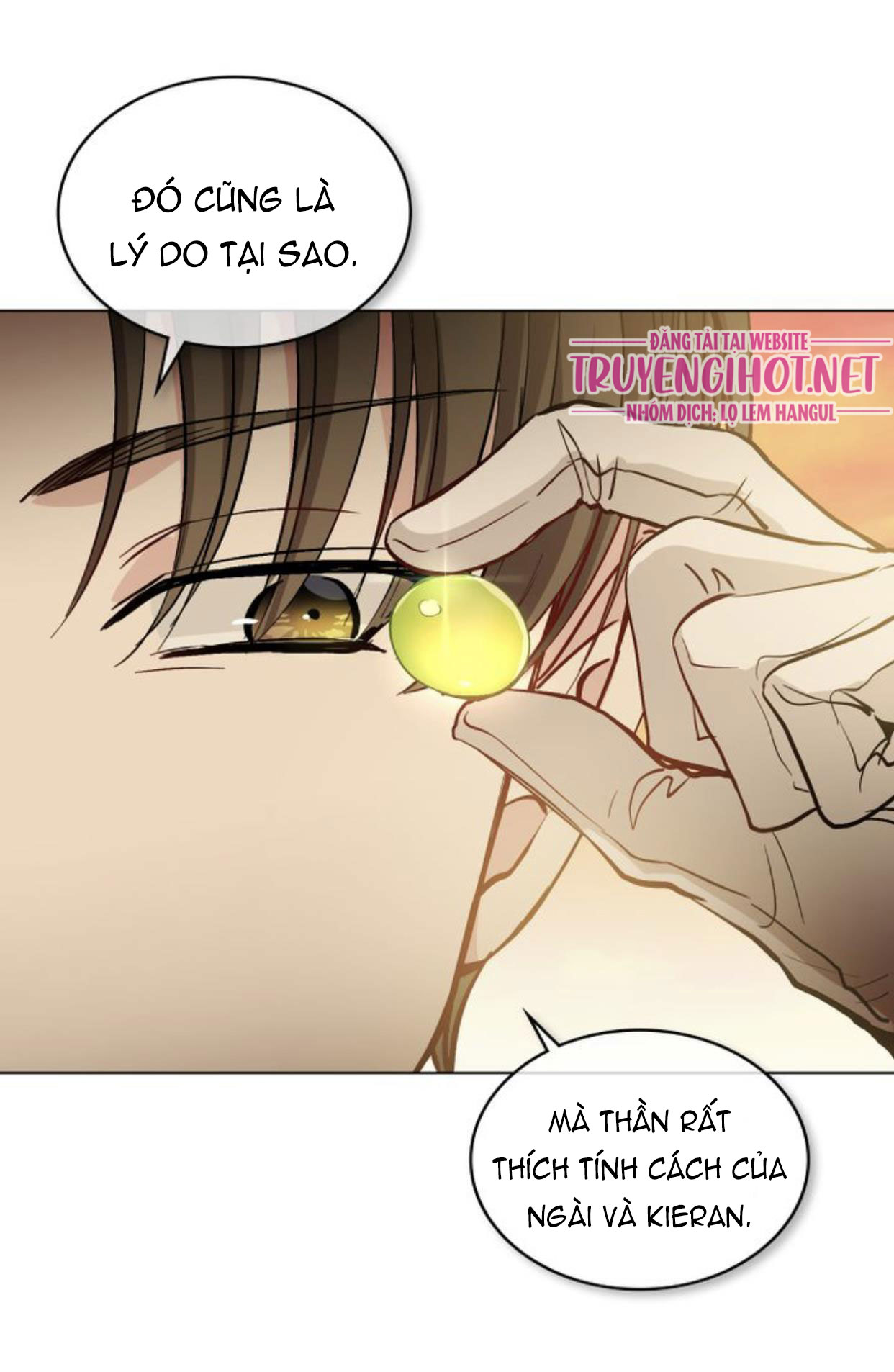 Đi Tìm Nàng Camellia Chap 13 - Trang 2