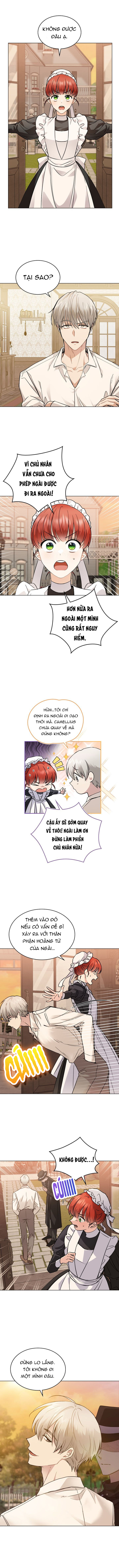 Đi Tìm Nàng Camellia Chap 38 - Trang 2