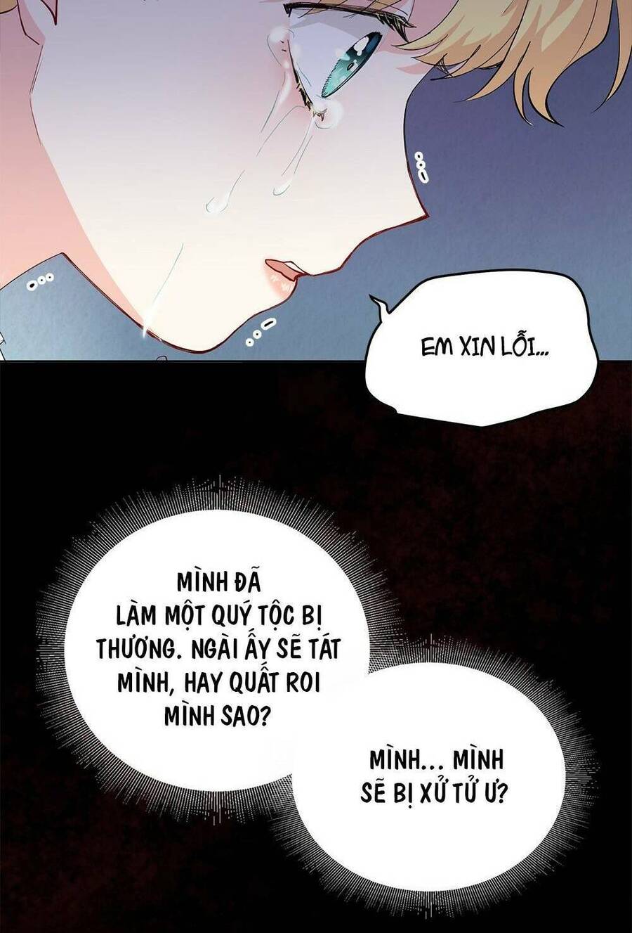 tìm lại camellia Chương 7 - Next Chapter 8